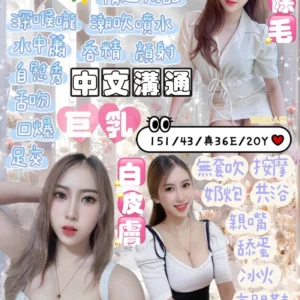 宜蘭定點茶-綠茶/151/43/20/E