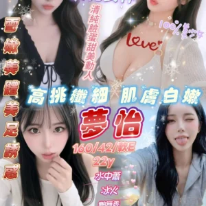 新竹定點茶-夢怡/160/42/22/E