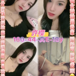 桃園定點茶-許櫻/160/44/18/E