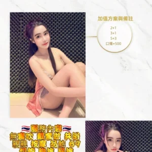 桃園定點茶-米蘭/160/43/21/E