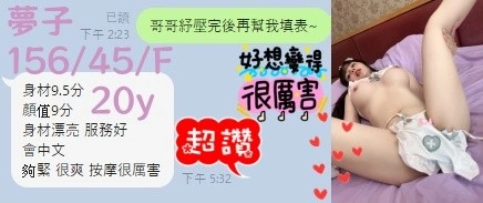 台中定點茶-夢子/156/45/20/F