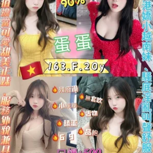 新北定點茶-蛋蛋/163/48/20/F