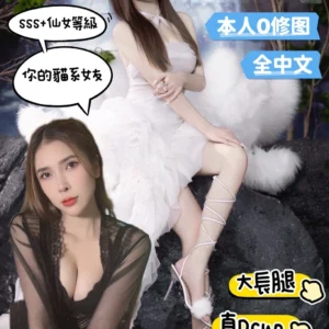 台南定點茶-白鹿/158/41/22/D