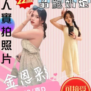 苗栗定點茶-金恩彩/155/48/22/D