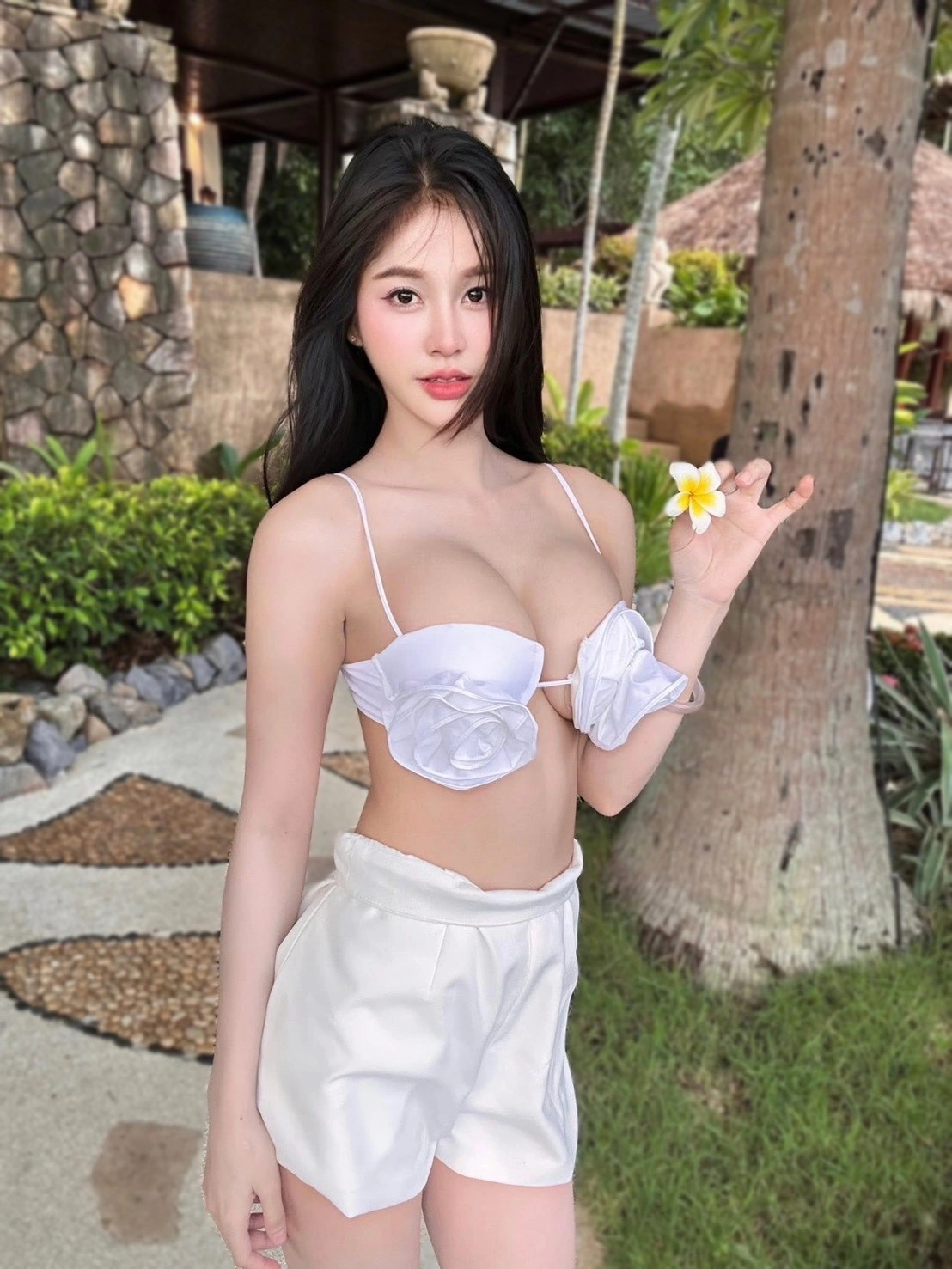 台北定點茶-浪浪/163/48/24/E