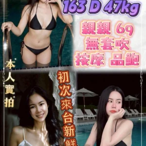 新北定點茶-孫芸/163/47/?/D