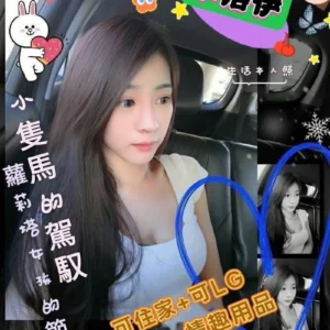 高雄外送茶-小洛伊/155/43/22/C