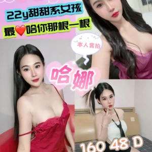 新北定點茶-哈娜/160/48/22/D