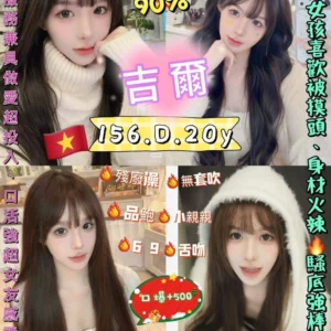 新北定點茶-吉爾/156/45/20/D