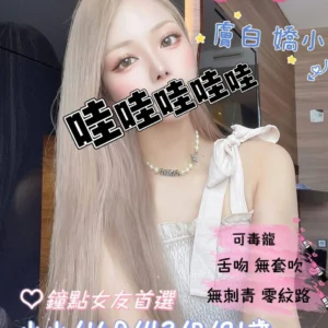 桃園外送茶-小小/160/43/21/B