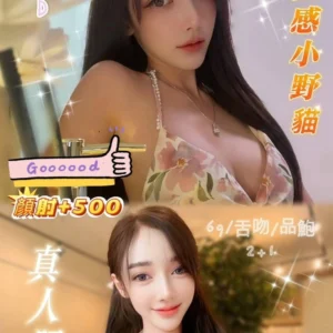 新北定點茶-蔓妮/156/42/?/D