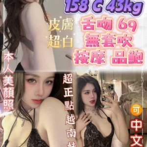 新北定點茶-蝴蝶/158/43/23/C