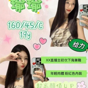 桃園外送茶-瑜瑜/160/45/19/C