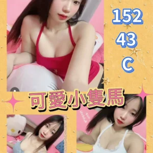 台南定點茶-米恩/152/43/?/C