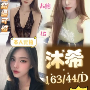 台南定點茶-沐希/163/44/26/D