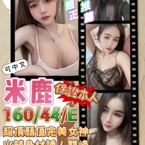 台南定點茶-米鹿/160/44/22/E