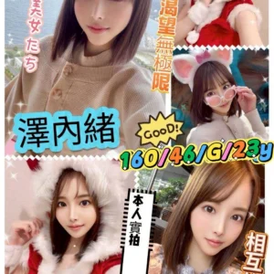 新竹定點茶-澤內緒/160/46/23/G