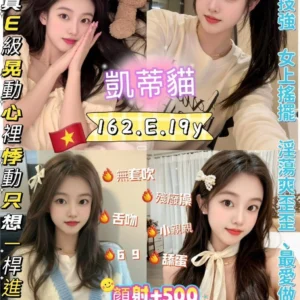 新北定點茶-凱蒂貓/162/45/19/E