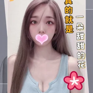 台中外送茶-小花/160/45/21/D