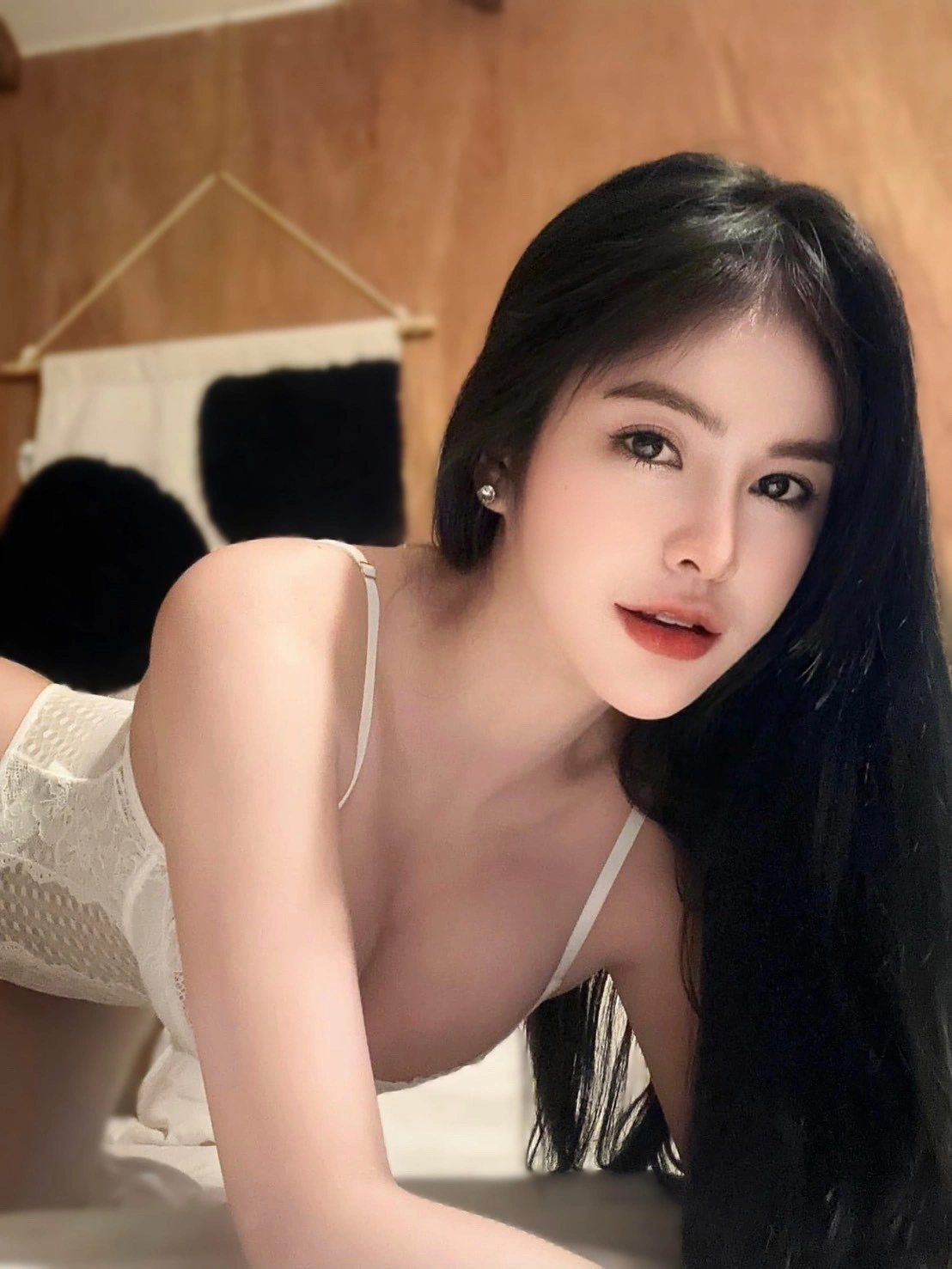 台北定點茶-浪浪/163/48/24/E