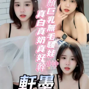 南投定點茶-軒墨/160/48/?/D