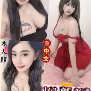 新北定點茶-品瑜/162/55/26/F