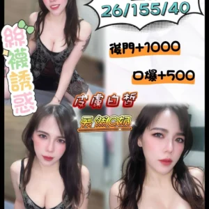 南投定點茶-星荷/155/40/26/C