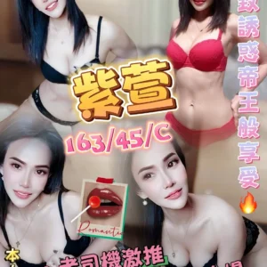 澎湖定點茶-紫萱/163/45/?/C