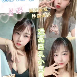 彰化定點茶-星野/157/46/22/E