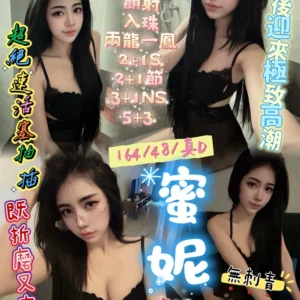 新竹定點茶-蜜妮/164/48/23/D