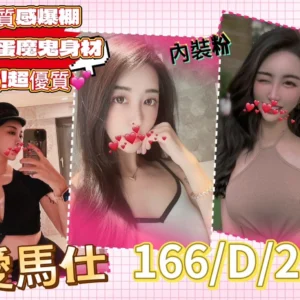 台北外送茶-愛馬仕/166/?/21/D