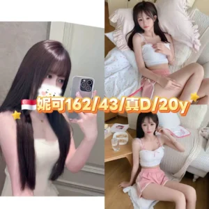 台北外送茶-妮可/162/43/20/D