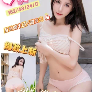 台南定點茶-美琪/162/48/24/D