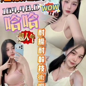 台南定點茶-哈哈/164/48/?/D