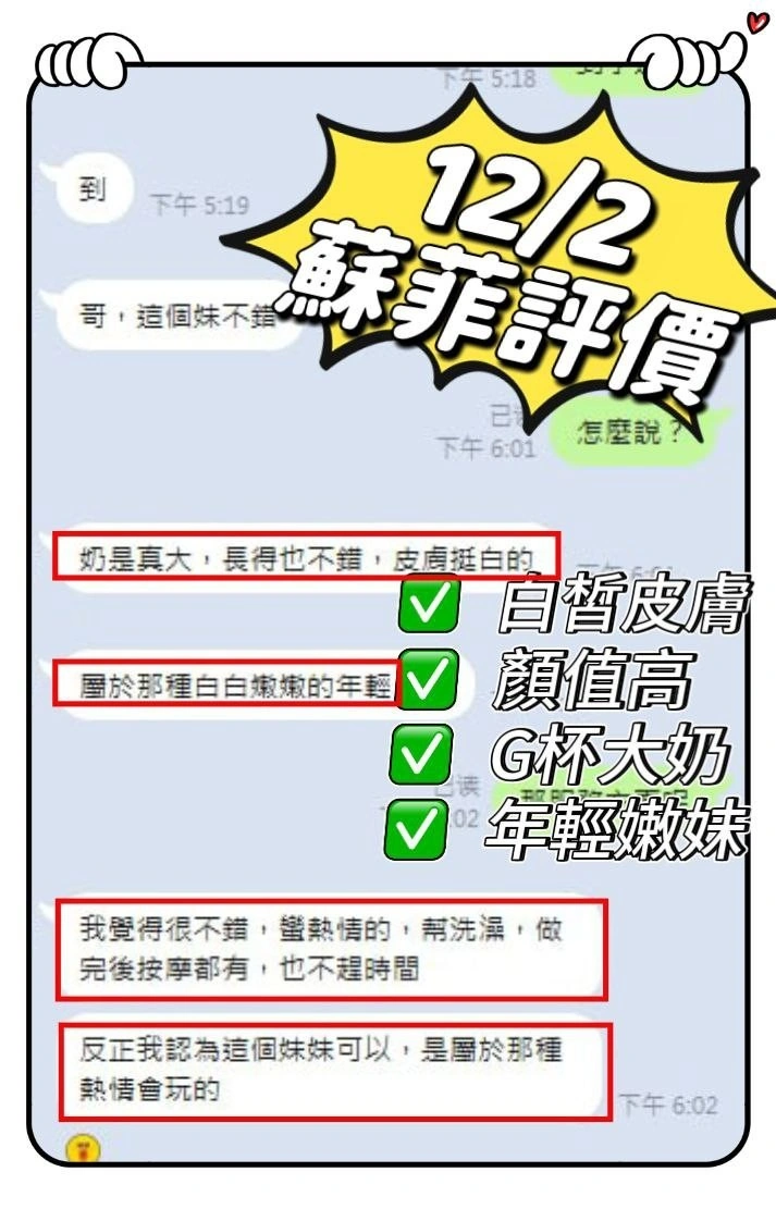 南投定點茶-蘇菲/155/45/?/G