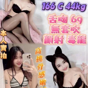 新北定點茶-月琳/166/44/22/C