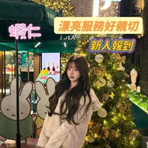 台南定點茶-蝦仁/160/46/20/E