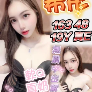 高雄定點茶-希彤/163/48/19/E