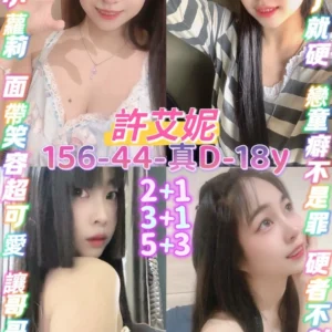 桃園定點茶-許艾妮/156/44/18/D