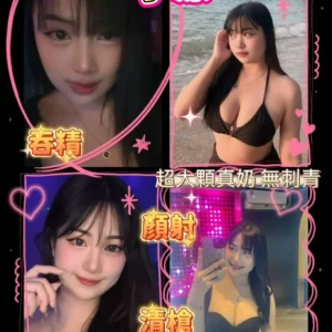 屏東外送茶-小派/157/50/?/D