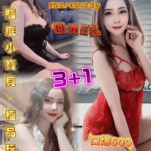 桃園定點茶-善善/152/45/23/E