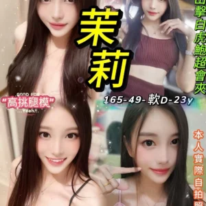 台北定點茶-茉莉/165/49/23/D