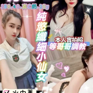 桃園定點茶-青色/158/40/25/C