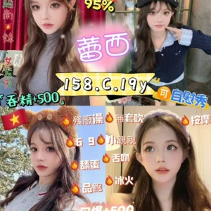 台北定點茶-蕾西/158/43/19/C