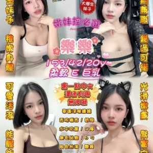 桃園定點茶-樂樂/153/42/20/E