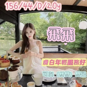 高雄定點茶-飛飛/156/44/20/D