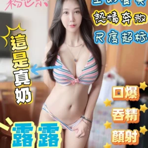 台南定點茶-露露/165/48/23/E