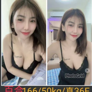 南投定點茶-百合/166/50/24/E