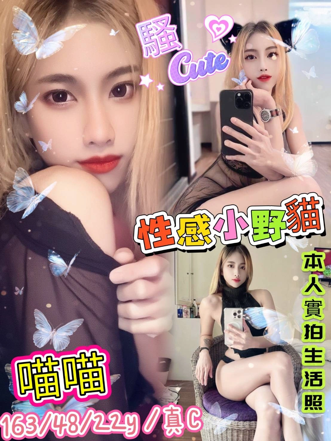 新北定點茶-喵喵/163/48/22/C