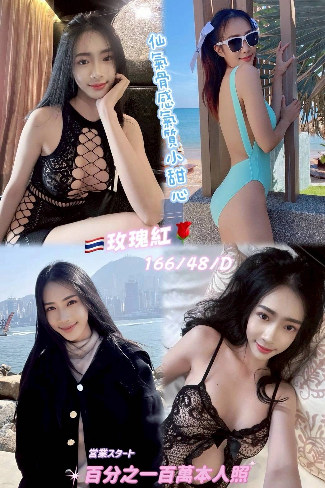 新北定點茶-玫瑰紅/166/48/25/D